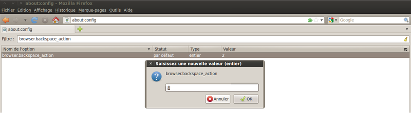 valeur_config_firefox.png